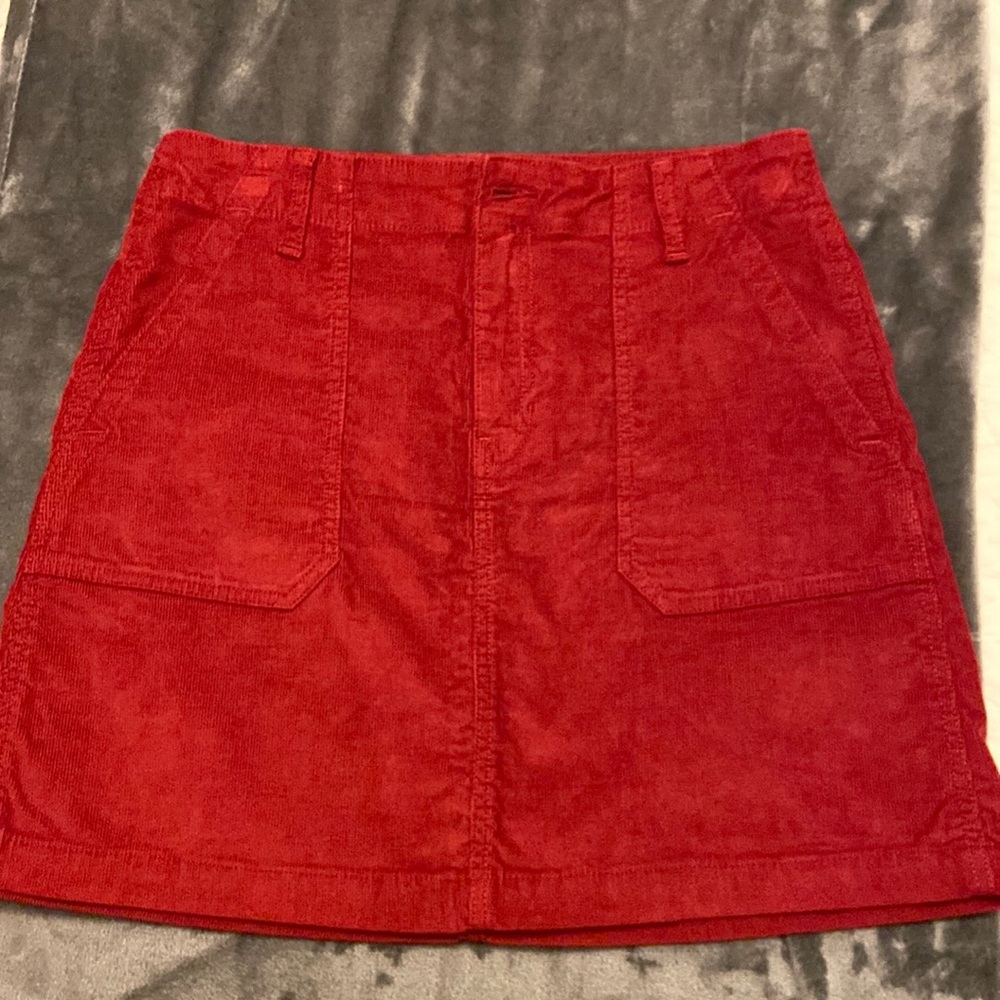 NWOT skirt